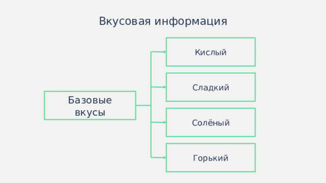 Вкусовая информация Кислый Сладкий Базовые вкусы Солёный Горький Иногда схемы лучше изображать горизонтально.  