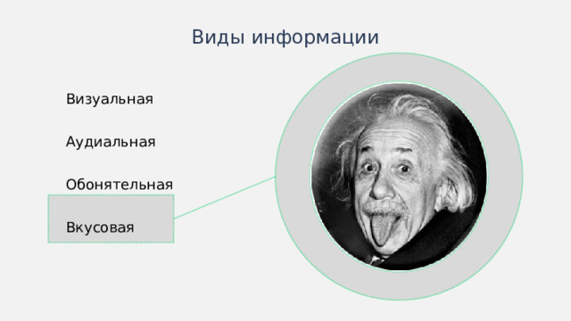 Виды информации Визуальная Аудиальная Обонятельная Вкусовая В качестве цвета вспомогательных линий можно использовать цвет раздела. Примеры к пунктам можно выводить последовательно при помощи анимации.  