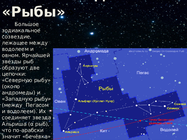  Созвездие «Рыбы» »  Большое зодиакальное созвездие, лежащее между водолеем и овном. Ярчайшей звезды рыб образуют две цепочки: «Северную рыбу» (около андромеды) и «Западную рыбу» (между Пегасом и водолеем). Их соединяет звезда Альриша (α рыб), что по-арабски значит «бечёвка» 