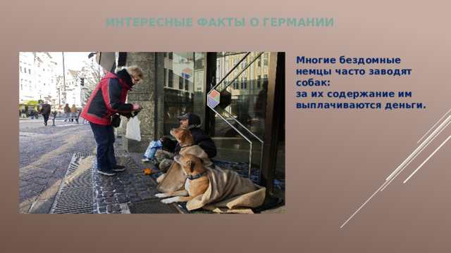 ИНТЕРЕСНЫЕ ФАКТЫ О ГЕРМАНИИ Многие бездомные немцы часто заводят собак: за их содержание им выплачиваются деньги. 
