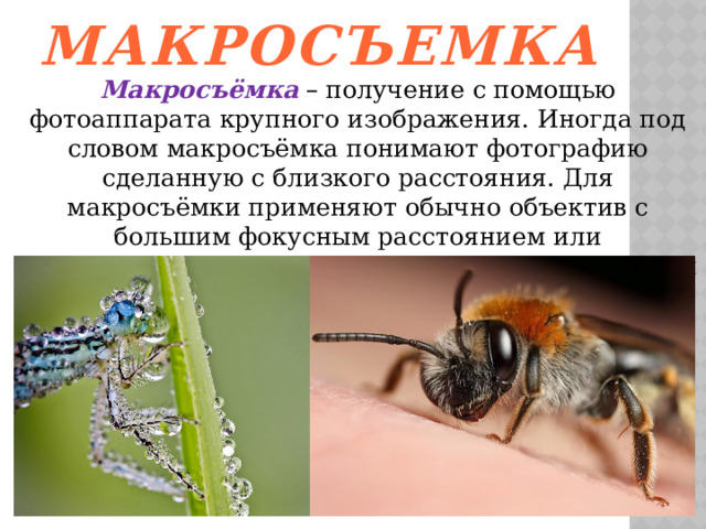 Макросъемка Макросъёмка – получение с помощью фотоаппарата крупного изображения. Иногда под словом макросъёмка понимают фотографию сделанную с близкого расстояния. Для макросъёмки применяют обычно объектив с большим фокусным расстоянием или специализированные – с фиксированным фокусным расстоянием 50,100 или 180 мм. 