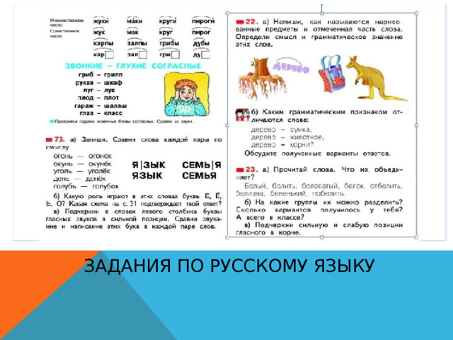 Задания по русскому языку 