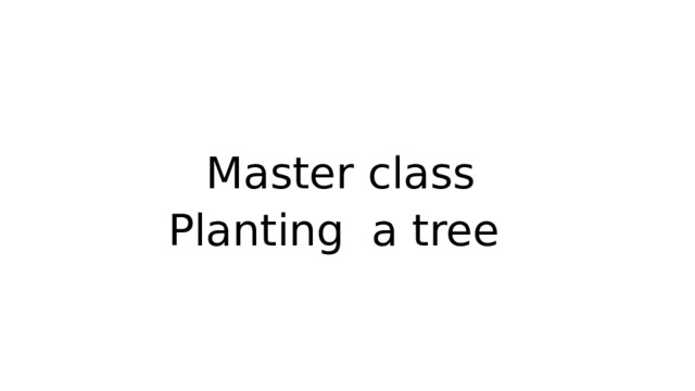 Master class Planting a tree 
