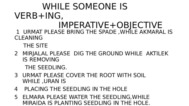  WHILE SOMEONE IS VERB+ING,  IMPERATIVE+OBJECTIVE  1 URMAT PLEASE BRING THE SPADE ,WHILE AKMARAL IS CLEANING  THE SITE MIRJALAL PLEASE DIG THE GROUND WHILE AKTILEK IS REMOVING  THE SEEDLING. URMAT PLEASE COVER THE ROOT WITH SOIL WHILE ,URAN IS  PLACING THE SEEDLING IN THE HOLE ELMARA PLEASE WATER THE SEEDLING,WHILE MIRAIDA IS PLANTING SEEDLING IN THE HOLE. 