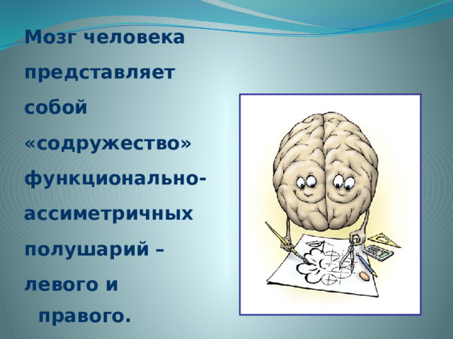 Мозг человека представляет собой «содружество» функционально- ассиметричных полушарий – левого и правого. 