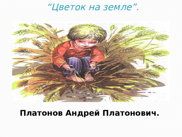 “ Цветок на земле”. Платонов Андрей Платонович. 