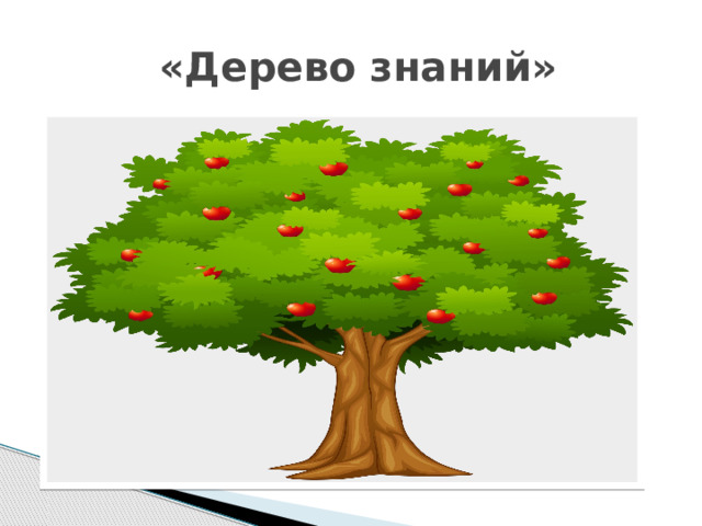  «Дерево знаний» 