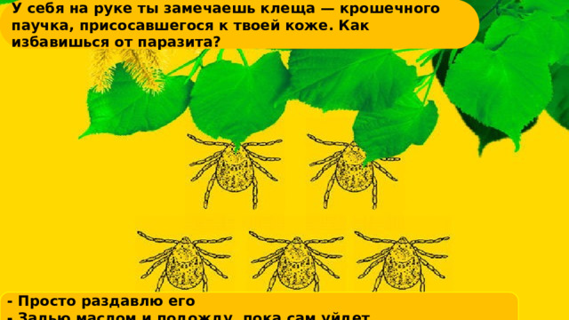 У себя на руке ты замечаешь клеща — крошечного паучка, присосавшегося к твоей коже. Как избавишься от паразита?     - Просто раздавлю его - Залью маслом и подожду, пока сам уйдет - Выдерну пальцами     