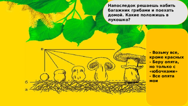 Напоследок решаешь набить багажник грибами и поехать домой. Какие положишь в лукошко?     - Возьму все, кроме красных - Беру опята, но только с «юбочками» - Все опята мои     