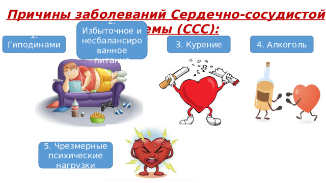 Причины заболеваний Сердечно-сосудистой системы (ССС): 2. Избыточное и несбалансированное питание 1. Гиподинамия 3. Курение 4. Алкоголь 5. Чрезмерные психические нагрузки 