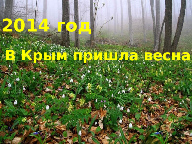2014 год В Крым пришла весна… 