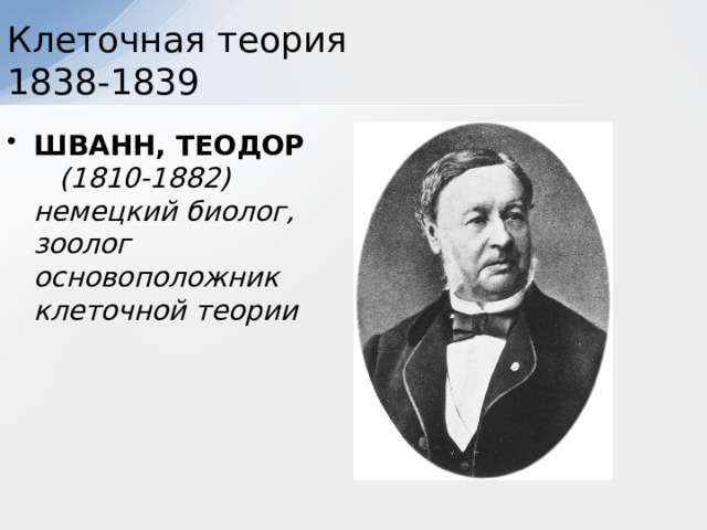 Клеточная теория 1838-1839 ШВАНН, ТЕОДОР  (1810-1882) немецкий биолог, зоолог основоположник клеточной теории 