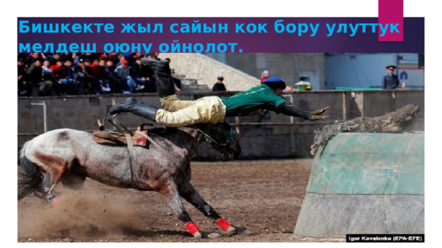 Бишкекте жыл сайын кок бору улуттук мелдеш оюну ойнолот. 