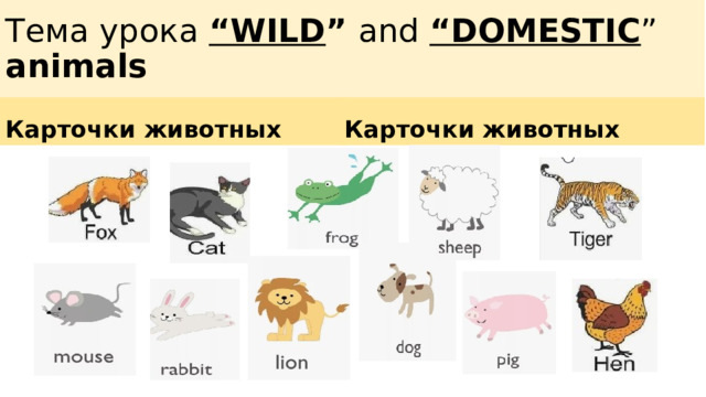 Тема урока “WILD ” and “DOMESTIC ” animals Карточки животных Карточки животных 