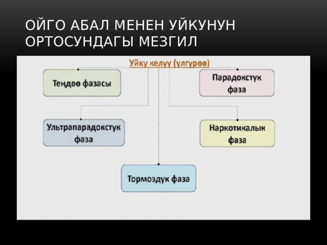 Ойго абал менен уйкунун ортосундагы мезгил 