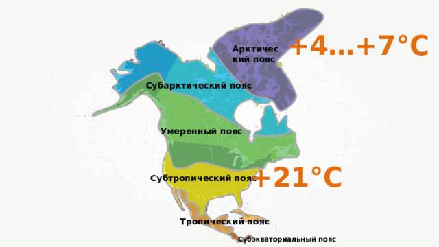 +4…+7°С Арктический пояс Субарктический пояс Умеренный пояс +21°С Субтропический пояс Тропический пояс Субэкваториальный пояс 