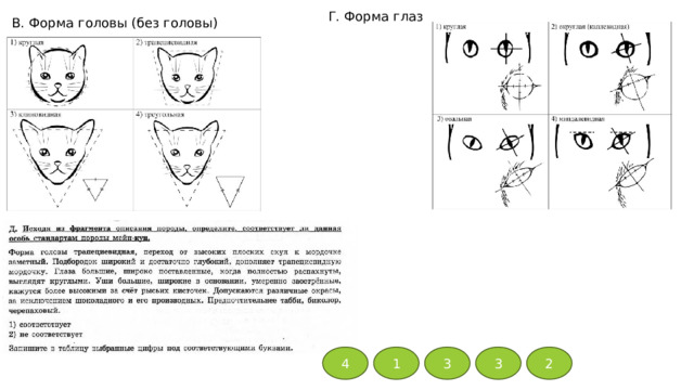 Г. Форма глаз В. Форма головы (без головы) 4 1 3 3 2 