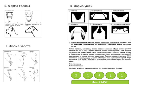 Б. Форма головы В. Форма ушей Г. Форма хвоста 2 1 4 1 1 Или 21452 