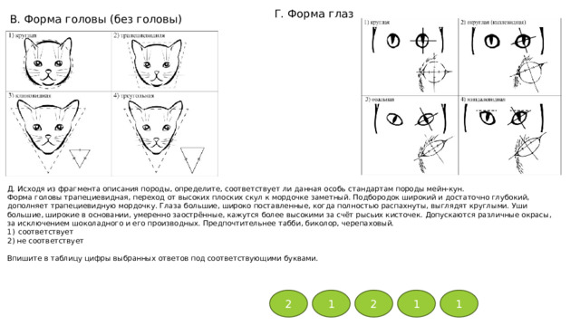 Г. Форма глаз В. Форма головы (без головы) Д. Исходя из фрагмента описания породы, определите, соответствует ли данная особь стандартам породы мейн-кун. Форма головы трапециевидная, переход от высоких плоских скул к мордочке заметный. Подбородок широкий и достаточно глубокий, дополняет трапециевидную мордочку. Глаза большие, широко поставленные, когда полностью распахнуты, выглядят круглыми. Уши большие, широкие в основании, умеренно заострённые, кажутся более высокими за счёт рысьих кисточек. Допускаются различные окрасы, за исключением шоколадного и его производных. Предпочтительнее табби, биколор, черепаховый. соответствует 2) не соответствует Впишите в таблицу цифры выбранных ответов под соответствующими буквами. 2 1 2 1 1 