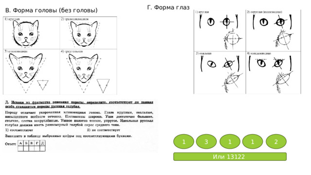 Г. Форма глаз В. Форма головы (без головы) 1 3 1 1 2 Или 13122 