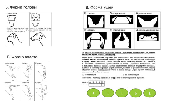 Б. Форма головы В. Форма ушей Г. Форма хвоста 1 1 1 6 1 