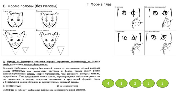 Г. Форма глаз В. Форма головы (без головы) 4 1 2 2 2 