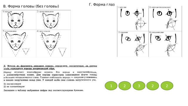 Г. Форма глаз В. Форма головы (без головы) 1 2 3 2 2 