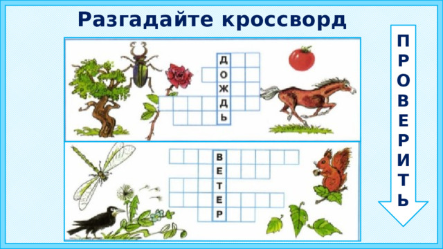 Разгадайте кроссворд П Р О В Е Р И Т Ь 