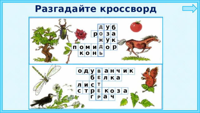 Разгадайте кроссворд у б р з а у к р п о м и о к о н у и д к а ч о н л б к а и с л с р к т о з а г а ч 