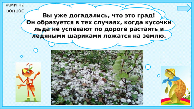 жми на вопрос Ребята, а случается иной раз, что вместе с дождём падают на землю ледяные шарики, и мелкие, и крупные— как когда. Что это такое?    Вы уже догадались, что это град! Он образуется в тех случаях, когда кусочки льда не успевают по дороге растаять и ледяными шариками ложатся на землю. 