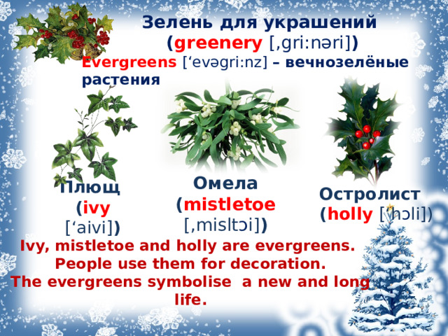 Зелень для украшений  ( greenery  [,gri:n ə ri] ) Evergreens [‘ev ə gri:nz] – вечнозелёные растения Остролист ( holly  [‘h ɔ li]) Омела ( mistletoe  [,mislt ɔ i] ) Плющ ( ivy  [‘aivi] )  Ivy, mistletoe and holly are evergreens.  People use them for decoration.  The  ever green s symbolise a new and long life.    