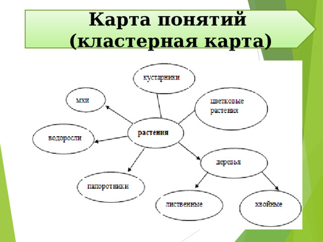 Карта понятий (кластерная карта) 