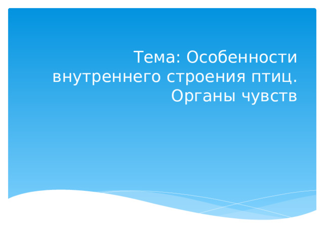 Тема: Особенности внутреннего строения птиц. Органы чувств 