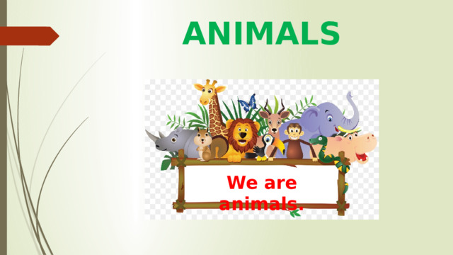 ANIMALS We are animals. 