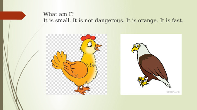 What am I?  It is small. It is not dangerous. It is orange. It is fast.   