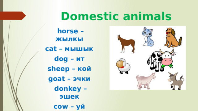 Domestic animals horse – жылкы cat – мышык dog – ит sheep – кой goat – эчки donkey – эшек cow – уй 