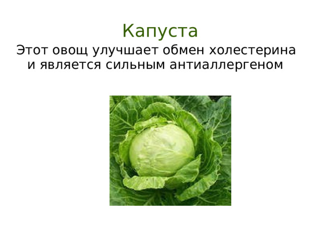 Капуста Этот овощ улучшает обмен холестерина и является сильным антиаллергеном  