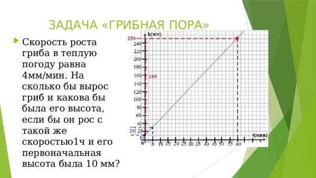 ЗАДАЧА «ГРИБНАЯ ПОРА» Скорость роста гриба в теплую погоду равна 4мм/мин. На сколько бы вырос гриб и какова бы была его высота, если бы он рос с такой же скоростью1ч и его первоначальная высота была 10 мм? 