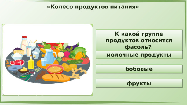 «Колесо продуктов питания» К какой группе продуктов относится фасоль? молочные продукты бобовые фрукты 
