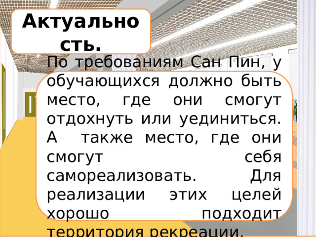 Актуальность. По требованиям Сан Пин, у обучающихся должно быть место, где они смогут отдохнуть или уединиться. А также место, где они смогут себя самореализовать. Для реализации этих целей хорошо подходит территория рекреации. 