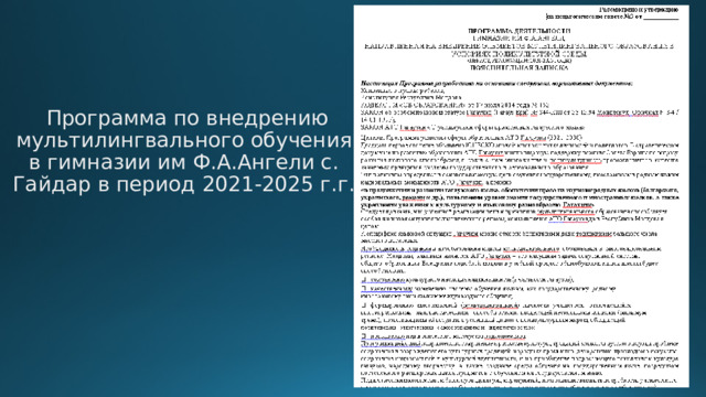  Программа по внедрению мультилингвального обучения в гимназии им Ф.А.Ангели с. Гайдар в период 2021-2025 г.г.    
