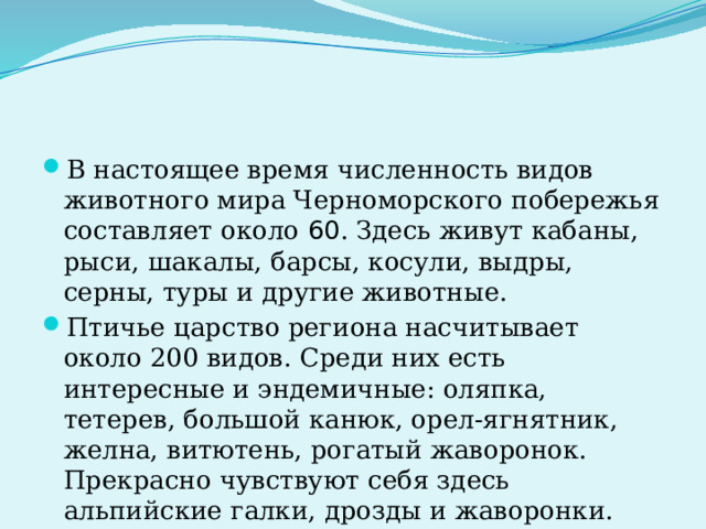 В настоящее время численность видов животного мира Черноморского побережья составляет около 60 . Здесь живут кабаны, рыси, шакалы, барсы, косули, выдры, серны, туры и другие животные. Птичье царство региона насчитывает около 200 видов. Среди них есть интересные и эндемичные: оляпка, тетерев, большой канюк, орел-ягнятник, желна, витютень, рогатый жаворонок. Прекрасно чувствуют себя здесь альпийские галки, дрозды и жаворонки. 