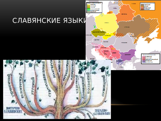 Славянские языки 