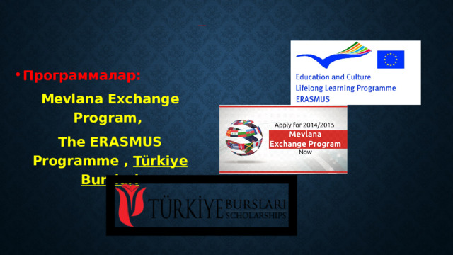 * Кыскача мүнөздөмө:   Программалар: Mevlana Exchange Program, The ERASMUS Programme , Türkiye Burslari 