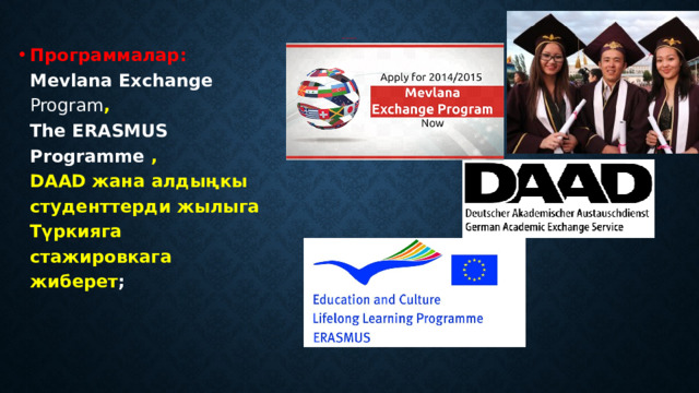 * Кыскача мүнөздөмө:   Программалар:  Mevlana Exchange Program ,  The ERASMUS Programme  ,  DAAD жана алдыңкы студенттерди жылыга Түркияга стажировкага жиберет ; 