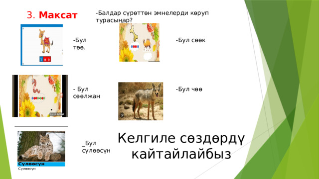 3. Максат коюу. -Балдар сүрөттөн эмнелерди көруп турасыңар? -Бул төө. -Бул сөөк - Бул сөөлжан -Бул чөө Келгиле сөздөрдү кайтайлайбыз _Бул сүлөөсүн 