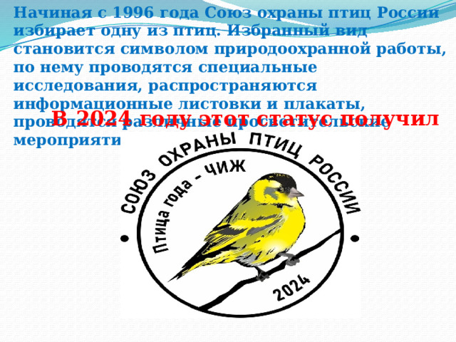 Начиная с 1996 года Союз охраны птиц России избирает одну из птиц. Избранный вид становится символом природоохранной работы, по нему проводятся специальные исследования, распространяются информационные листовки и плакаты, проводятся различные просветительские мероприятия .  В 2024 году этот статус получил Чиж . 