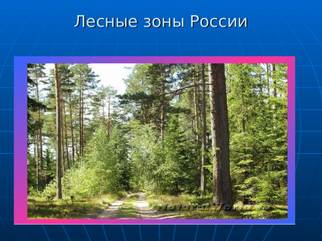 Лесные зоны России   