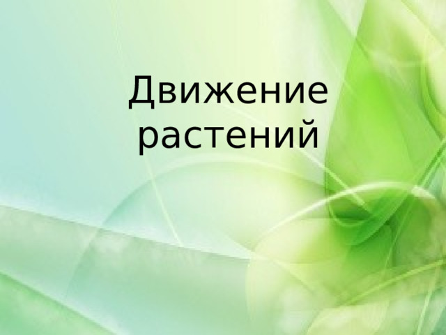Движение растений 