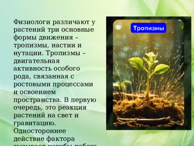 Физиологи различают у растений три основные формы движения – тропизмы, настии и нутации. Тропизмы – двигательная активность особого рода, связанная с ростовыми процессами и освоением пространства. В первую очередь, это реакция растений на свет и гравитацию. Одностороннее действие фактора вызывает изгибы побега или корня. 